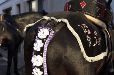 Sant Climent, Menorca - İspanya - 23 Haziran 2016: Sant Climent, Mao, Menorca, Balear Adaları, İspanya 'da düzenlenen geleneksel Jaleo festivali