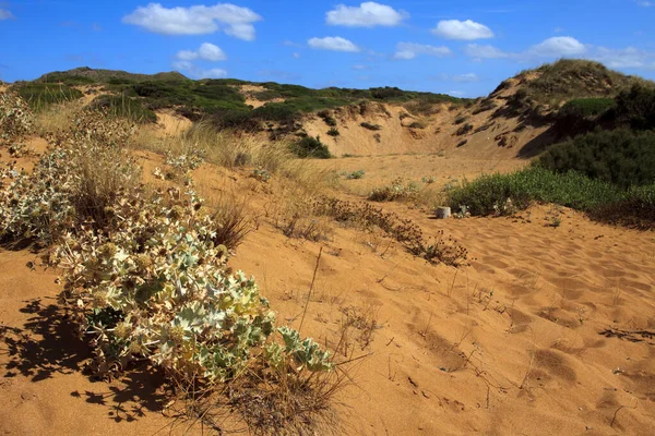 Cala Pregonda Menorca Hiszpania Czerwca 2016 Widok Obszaru Rezerwatu Biosfery — Zdjęcie stockowe