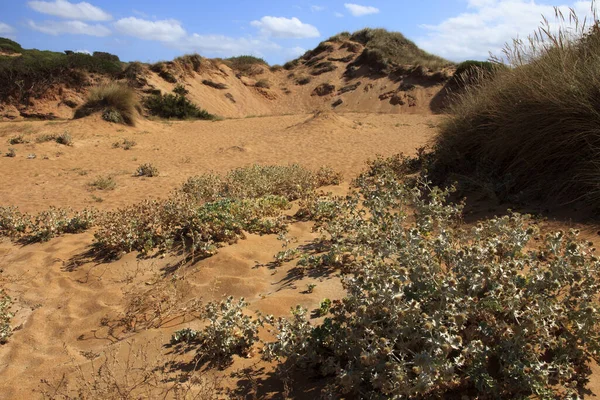 Cala Pregonda Menorca Espanha Junho 2016 Cala Pregonda Biosphere Reserve — Fotografia de Stock