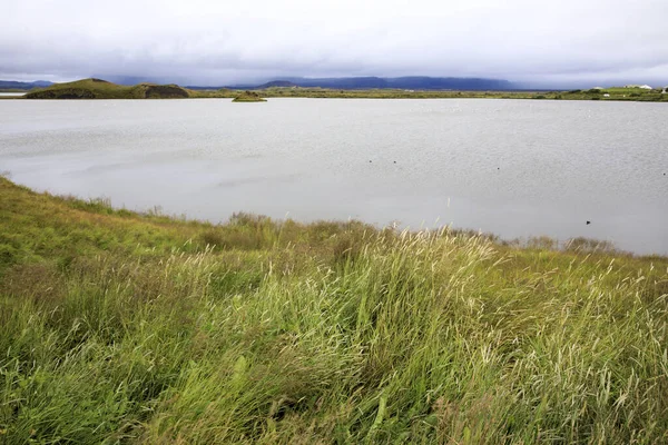 Myvatn Island Augusti 2017 Myvatnområdet Island Europa — Stockfoto