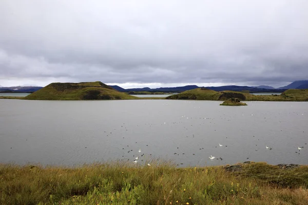 Myvatn Island Srpna 2017 Oblast Jezera Myvatn Island Evropa — Stock fotografie