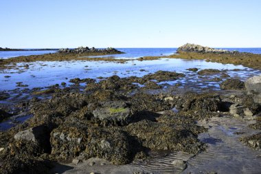 Vatnsnes / İzlanda - 27 Ağustos 2017: Vatnsnes yarımadasındaki sahil ve deniz, İzlanda, Avrupa