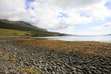 İzlanda - 29 Ağustos 2017: Halka Yolu yakınlarındaki kıyı manzarası, İzlanda, Avrupa