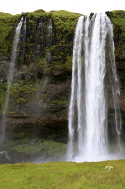 Seljalandsfoss / Iceland - August 15, 2017: Seljalandsfoss one of the most famous Icelandic waterfall, Iceland, Europe