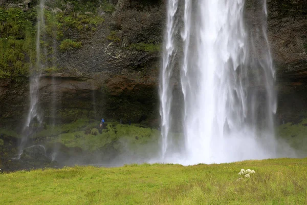 Seljalandsfoss Iceland August 2017 Seljalandsfoss One Most Famous Icelandic Waterfall — Stock fotografie