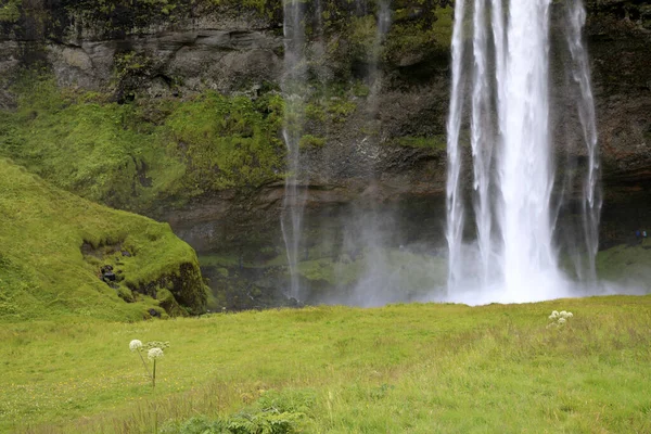 Seljalandsfoss Iceland August 2017 Seljalandsfoss One Most Famous Icelandic Waterfall — Stock fotografie
