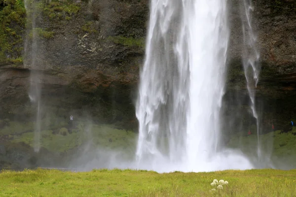 Seljalandsfoss Iceland August 2017 Seljalandsfoss One Most Famous Icelandic Waterfall — Stockfoto