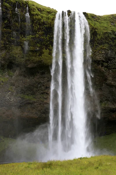 Seljalandsfoss Iceland August 2017 Seljalandsfoss One Most Famous Icelandic Waterfall — ストック写真