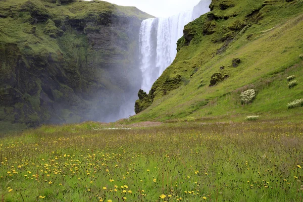 Skogafoss Islandia Sierpnia 2017 Piękny Słynny Wodospad Skogafoss Południu Islandii — Zdjęcie stockowe