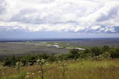 Skaftafell / İzlanda - 18 Ağustos 2017: Skaftafell Ulusal Parkı, İzlanda, Avrupa