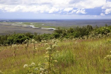 Skaftafell / İzlanda - 18 Ağustos 2017: Skaftafell Ulusal Parkı, İzlanda, Avrupa
