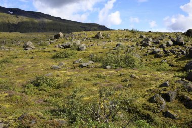 Skaftafell / İzlanda - 18 Ağustos 2017: Skaftafellsjokull Buzulu yakınlarındaki manzara, İzlanda, Avrupa