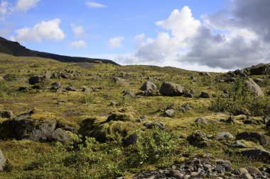 Skaftafell / İzlanda - 18 Ağustos 2017: Skaftafellsjokull Buzulu yakınlarındaki manzara, İzlanda, Avrupa