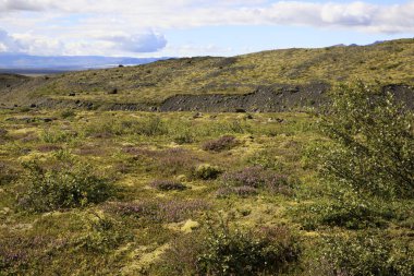 Skaftafell / İzlanda - 18 Ağustos 2017: Skaftafellsjokull Buzulu yakınlarındaki manzara, İzlanda, Avrupa