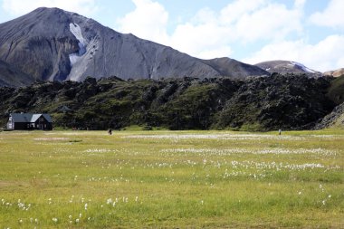 Landmannalaugar / İzlanda - 15 Ağustos 2017: Grasse Landmannalaugar Park, İzlanda, Avrupa 