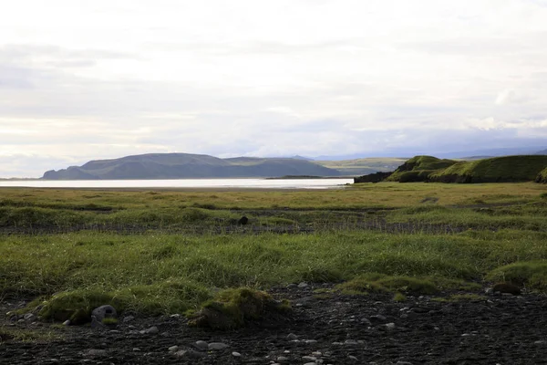 Vik Iceland August 2017 Scenery Vik Beach Iceland Europe — Stock Photo, Image