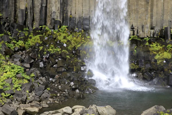 Skaftafell Izland 2017 Augusztus Svartifoss Fekete Vízesése Skaftafell Nemzeti Parkban — Stock Fotó