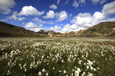 Landmannalaugar / İzlanda - 15 Ağustos 2017: Landmannalaugar Park, İzlanda, Avrupa 