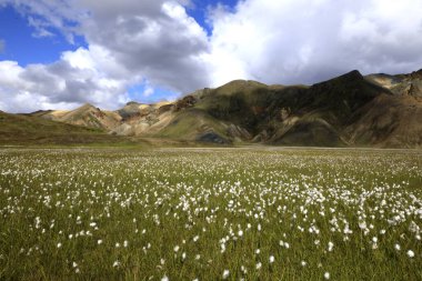 Landmannalaugar / İzlanda - 15 Ağustos 2017: Landmannalaugar Park, İzlanda, Avrupa 