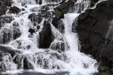 Hraunfossar / İzlanda - 15 Ağustos 2017: Hraunfossar şelaleleri, Langjokul, İzlanda, Avrupa 'da bulunan bir volkanın patlaması sonucu oluşan Hallmundarhraun lav alanından akan nehirler tarafından oluşturuldu.