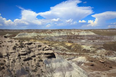 Arizona / Usa - 1 Ağustos 2015: Petrified Forest Ulusal Parkı, Arizona, Usa