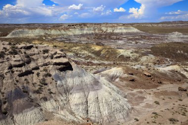 Arizona / Usa - 1 Ağustos 2015: Petrified Forest Ulusal Parkı, Arizona, Usa