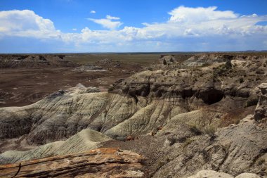 Arizona / Usa - 1 Ağustos 2015: Taşlaşmış Orman Ulusal Parkı, Arizona, Usa