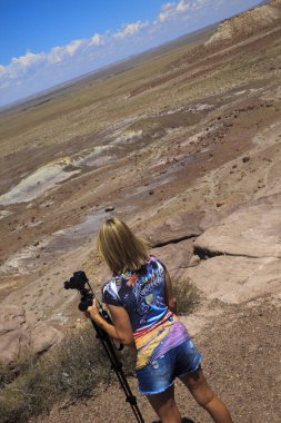 Arizona / Usa - 01 Ağustos 2015: Petrified Forest Ulusal Parkı manzarası, Arizona, Usapetrified Forest Ulusal Parkı, Arizona, Usa