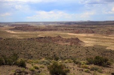 Arizona / Usa - 01 Ağustos 2015: Boyalı Çöl Ulusal Parkı, Arizona, Usa