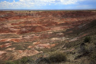 Arizona / Usa - 01 Ağustos 2015: Boyalı Çöl Ulusal Parkı, Arizona, Usa