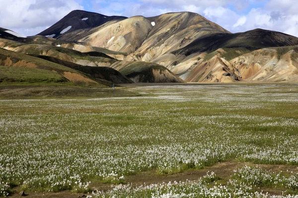 Landmannalaugar Iceland August 2017 Colorful Mountains Landmannalaugar Park Iceland Europe — 스톡 사진