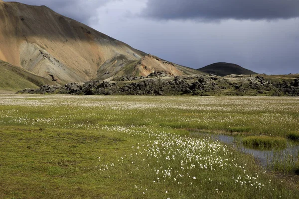 Landmannalaugar Islândia Agosto 2017 Paisagem Montanhas Coloridas Parque Landmannalaugar Islândia — Fotografia de Stock