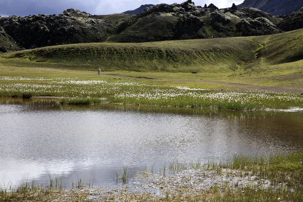 Landmannalaugar Island Augusti 2017 Landskapet Och Färgglada Berg Landmannalaugar Park — Stockfoto