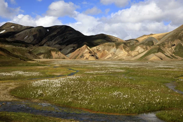 Landmannalaugar Island Augusti 2017 Landskapet Och Färgglada Berg Landmannalaugar Park — Stockfoto