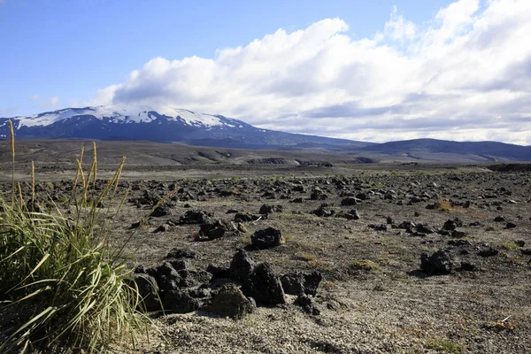 Iceland August 2017 Typical Lava Field Landmannalaugar Park Iceland Europe — Stock Photo, Image