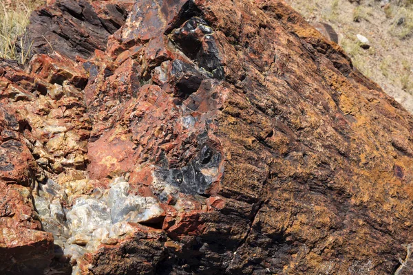 Arizona Usa Ağustos 2015 Petrified Forest Ulusal Parkı Bölgesinde Taşlaşmış — Stok fotoğraf