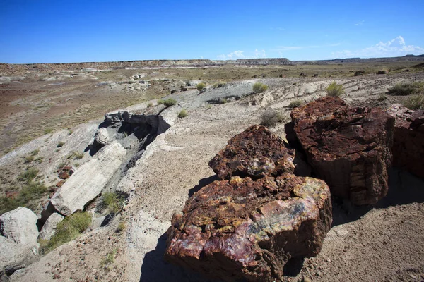 Arizona Usa Ağustos 2015 Petrified Forest Ulusal Parkı Bölgesinde Taşlaşmış — Stok fotoğraf