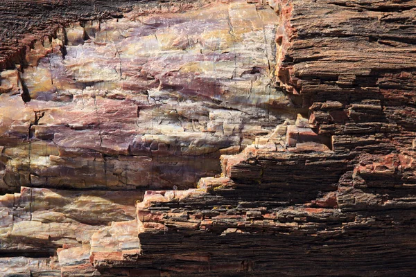 Arizona Usa Ağustos 2015 Petrified Forest Ulusal Parkı Bölgesinde Taşlaşmış — Stok fotoğraf