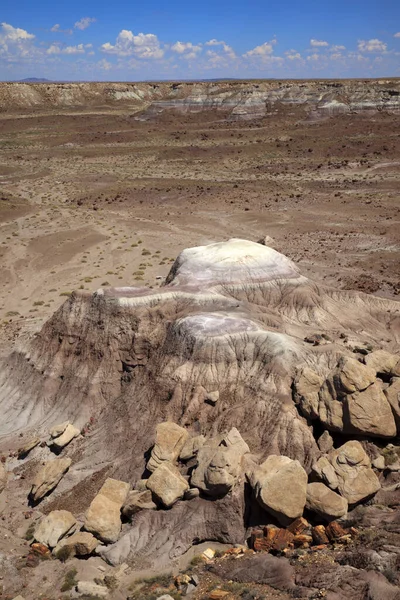 Arizona Usa August 2015 Landschaft Petrified Forest National Park Arizona — Stockfoto