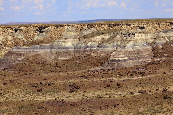 Arizona Usa August 2015 Landschaft Petrified Forest National Park Arizona — Stockfoto