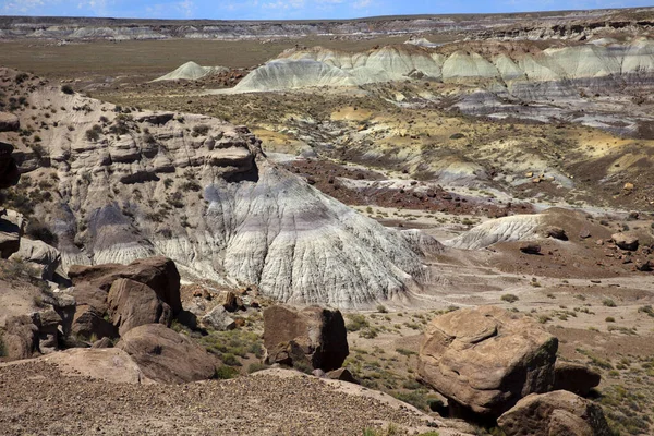 Arizona Usa Agosto 2015 Paesaggio Del Parco Nazionale Delle Foreste — Foto Stock