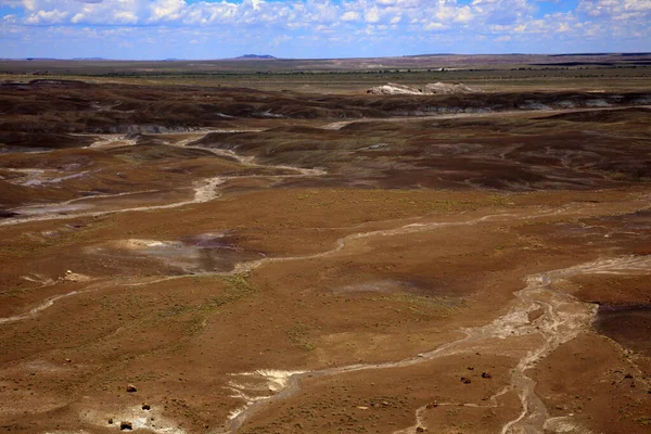 Arizona États Unis Août 2015 Paysage Parc National Forêt Pétrifiée — Photo