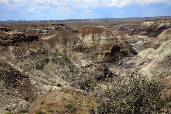 Arizona Usa August 2015 Landschaft Des Petrified Forest National Park — Stockfoto