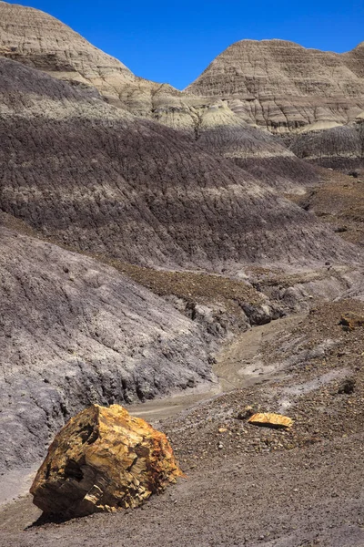 Arizona Usa August 2015 Landschaft Des Petrified Forest National Park — Stockfoto