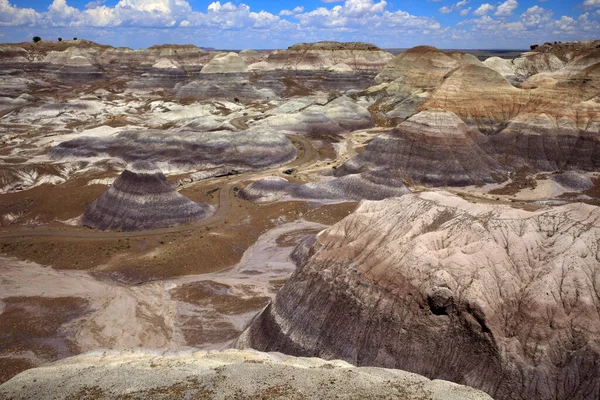 Arizona Usa August 2015 Landschaft Des Petrified Forest National Park — Stockfoto