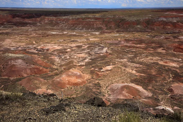 Arizona États Unis Août 2015 Paysage Parc National Désert Peint — Photo