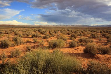 Page, Arizona / USA - August 05, 2015: Landscape near Horseshoe Bend, Page, Arizona, USA