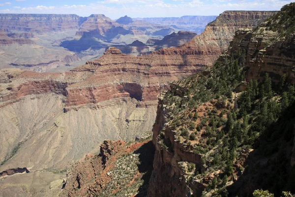 Arizona Usa August 2015 South Rim Grand Canyon Landscape Arizona — Stock Photo, Image