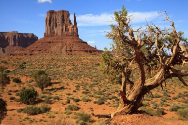 Utah/Arizona / USA - August 10, 2015: The Monument Valley Navajo Tribal Reservation landscape, Utah/Arizona, USA