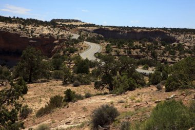 Utah / USA - August 11, 2015: Island In The Sky Canyolands National Park landscape, Utah, USA